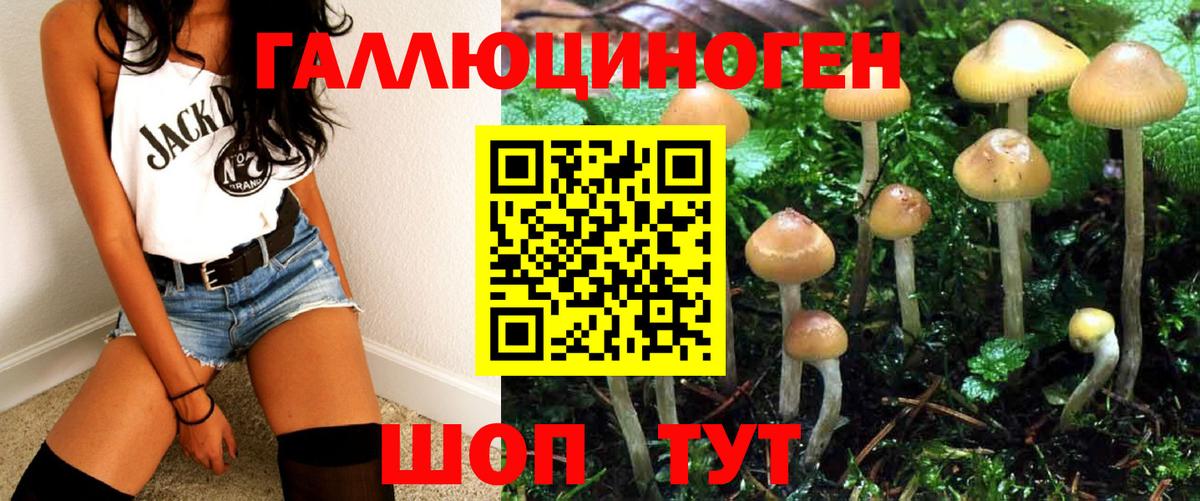 Псилоцибиновые грибы MAGIC MUSHROOMS  Вход с VPN  Псилоцибиновые грибы ЛСД  Тихорецк 